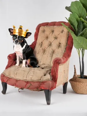 Antique French Napoleon III dog bed armchair - 25¼"