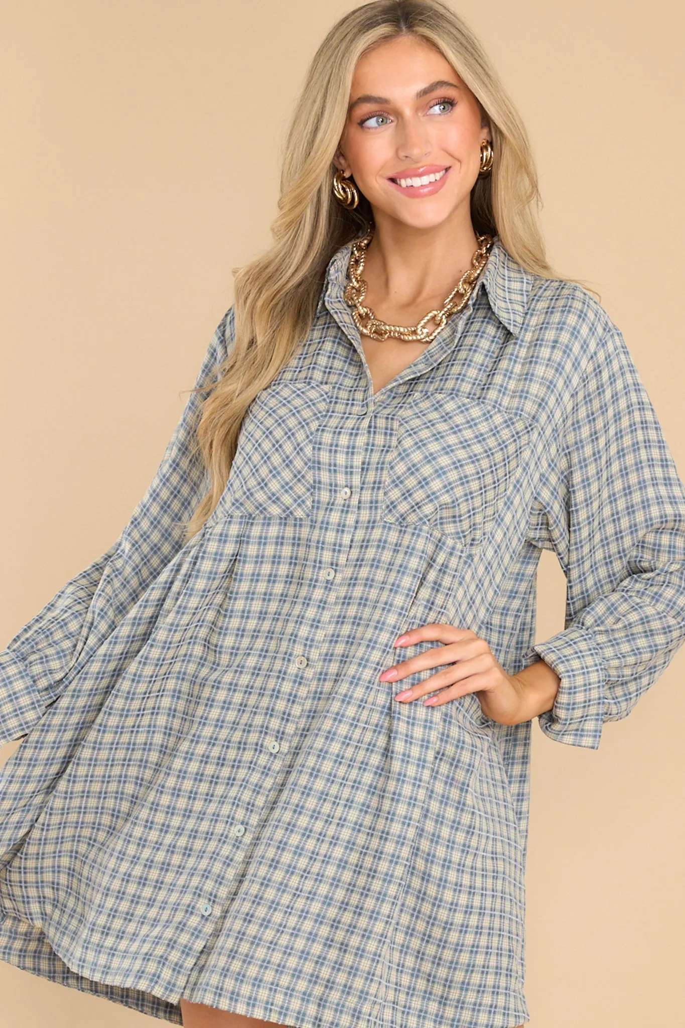 Braver Than Belief Blue Plaid Dress