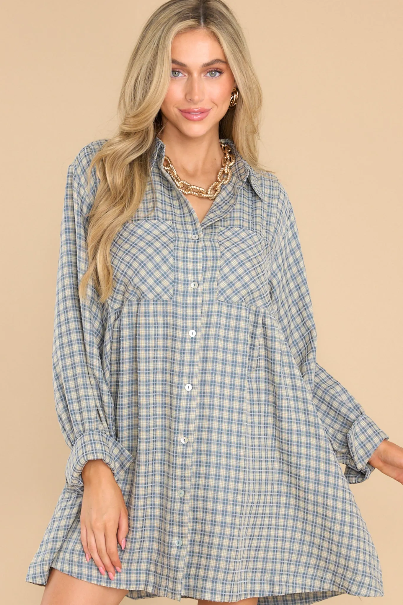 Braver Than Belief Blue Plaid Dress