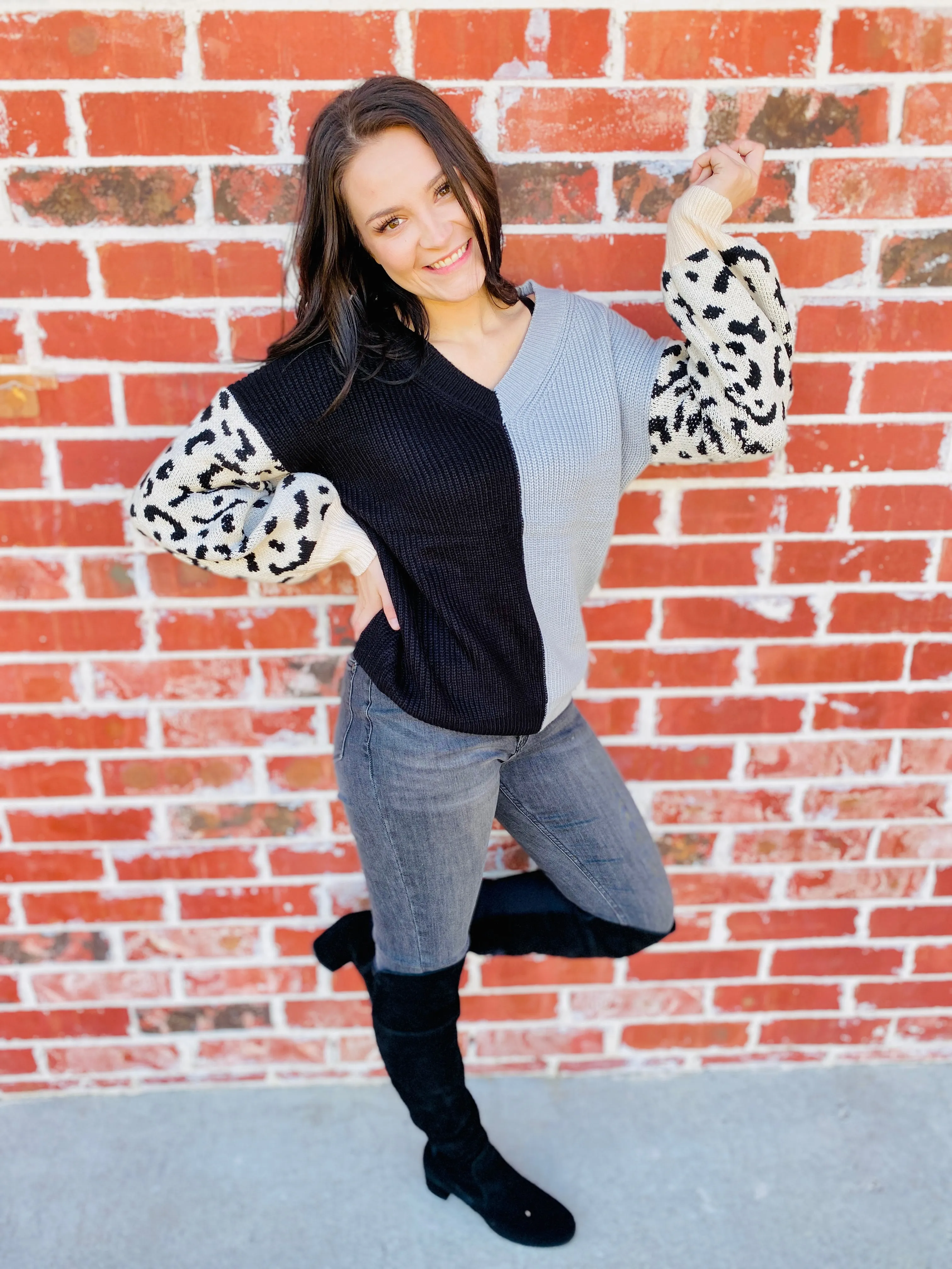 Charcoal & Snow Leo V-Neck Sweater