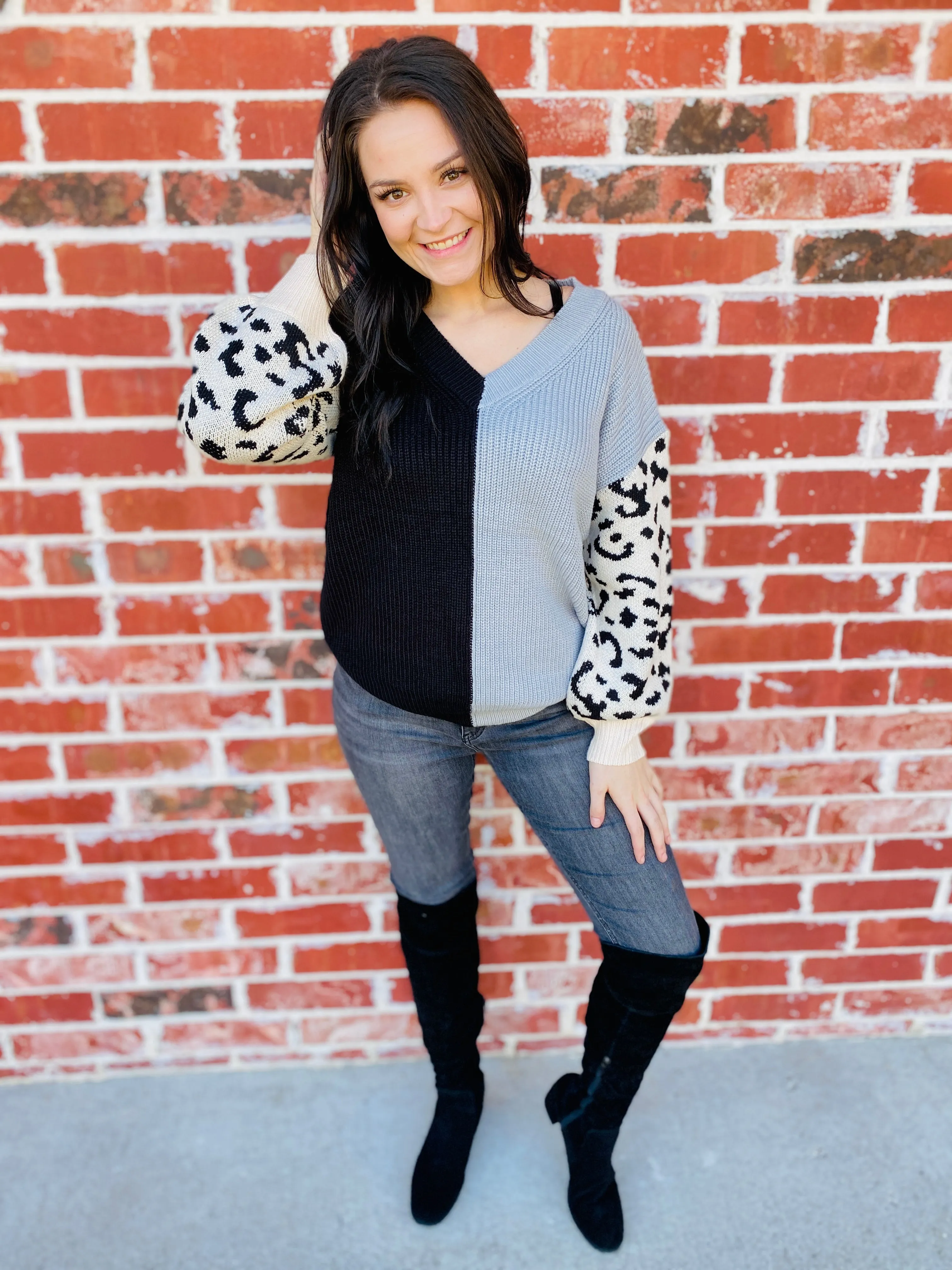 Charcoal & Snow Leo V-Neck Sweater