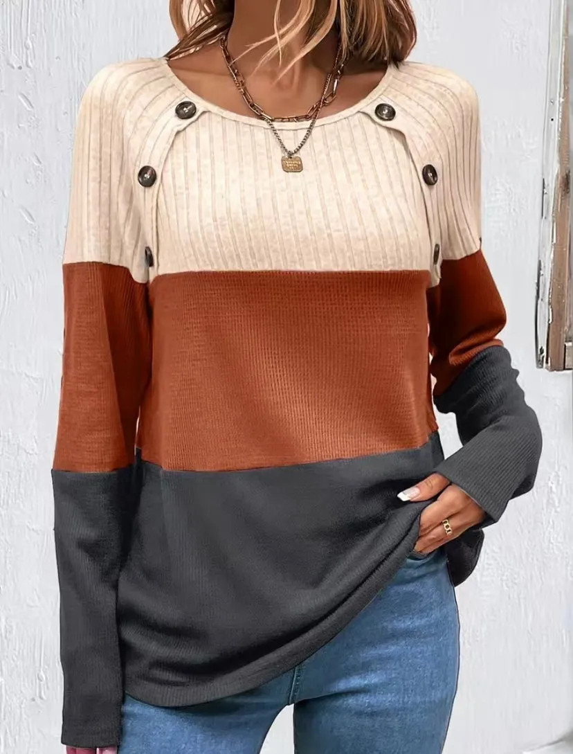 Chocolate Color Block Casual Long Sleeve Button Detail Top