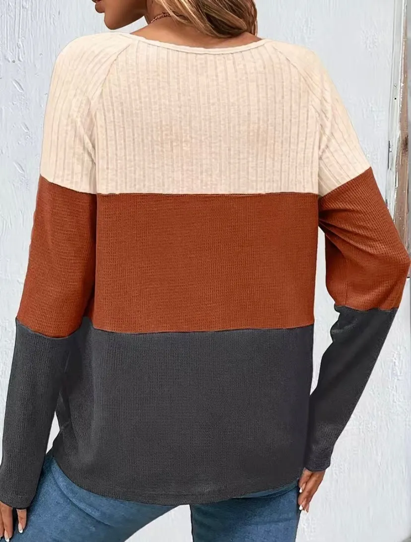 Chocolate Color Block Casual Long Sleeve Button Detail Top