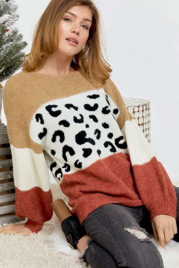 Color Block Printed Round Neck Sweater