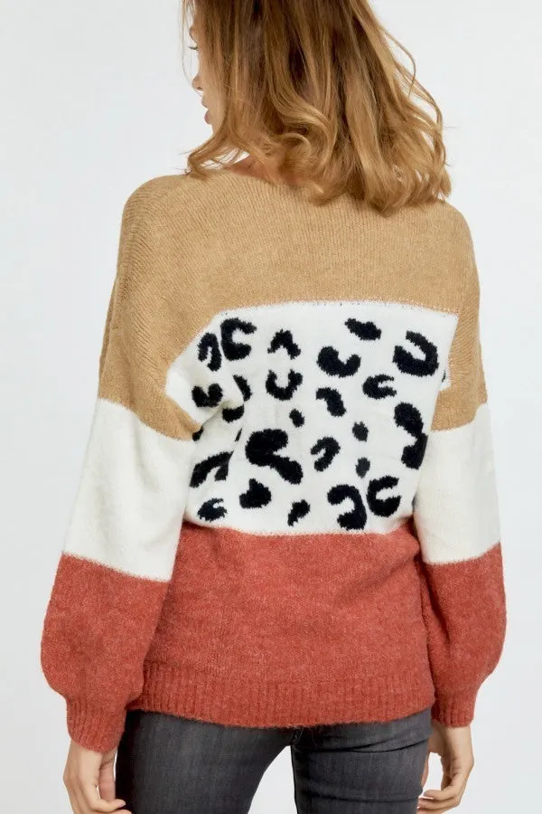 Color Block Printed Round Neck Sweater