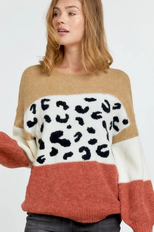 Color Block Printed Round Neck Sweater