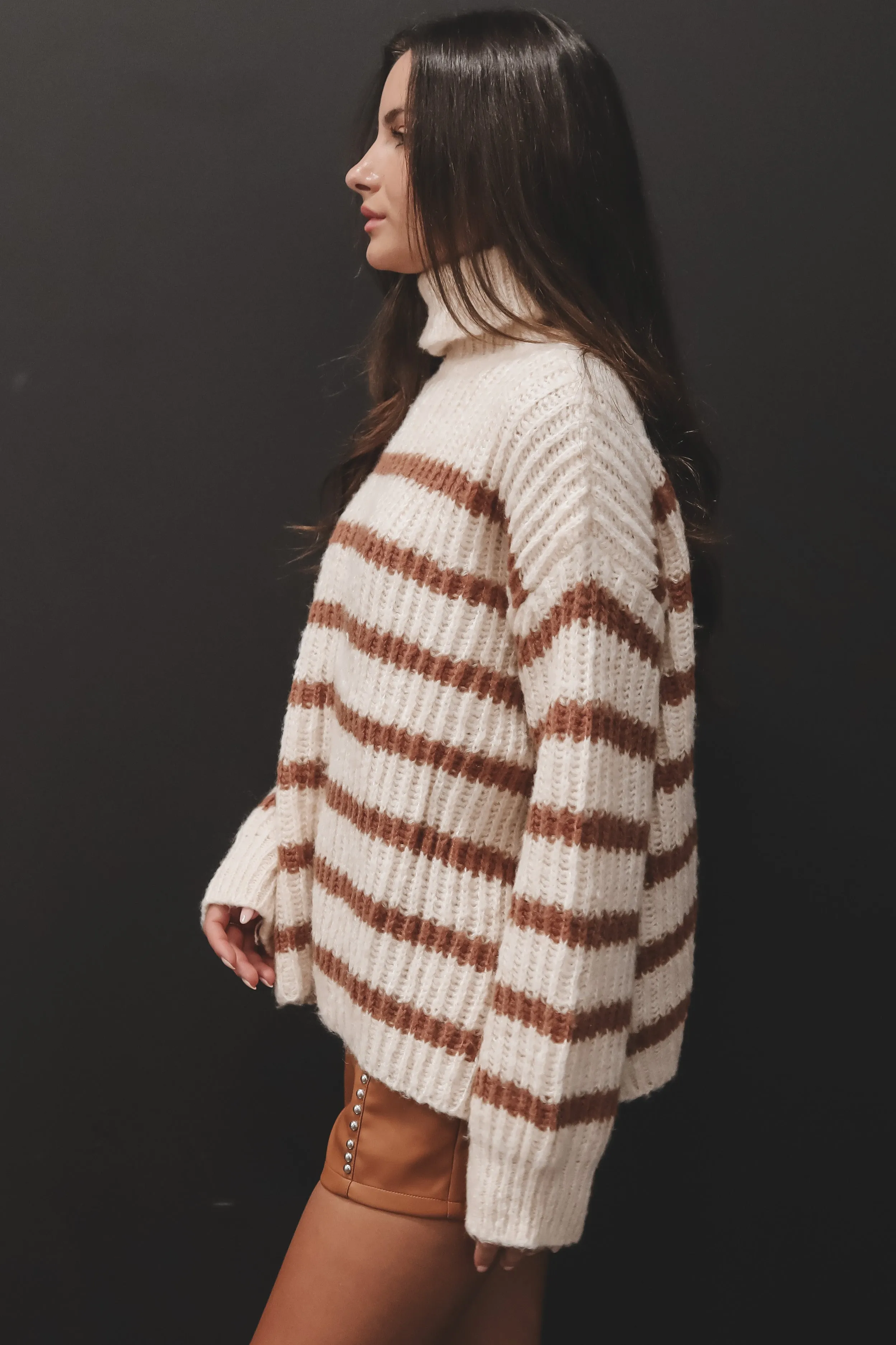 DEAL SADIE & SAGE Aki Turtle Neck Striped Sweater