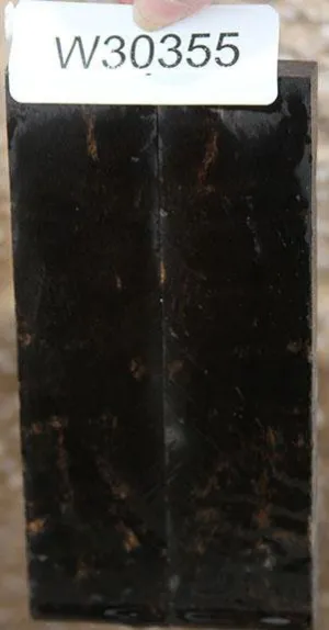 Fiddleback Nigerian Ebony Scales