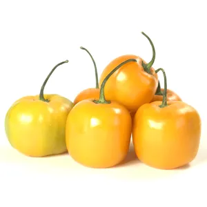 Manzano Yellow Pepper Seeds