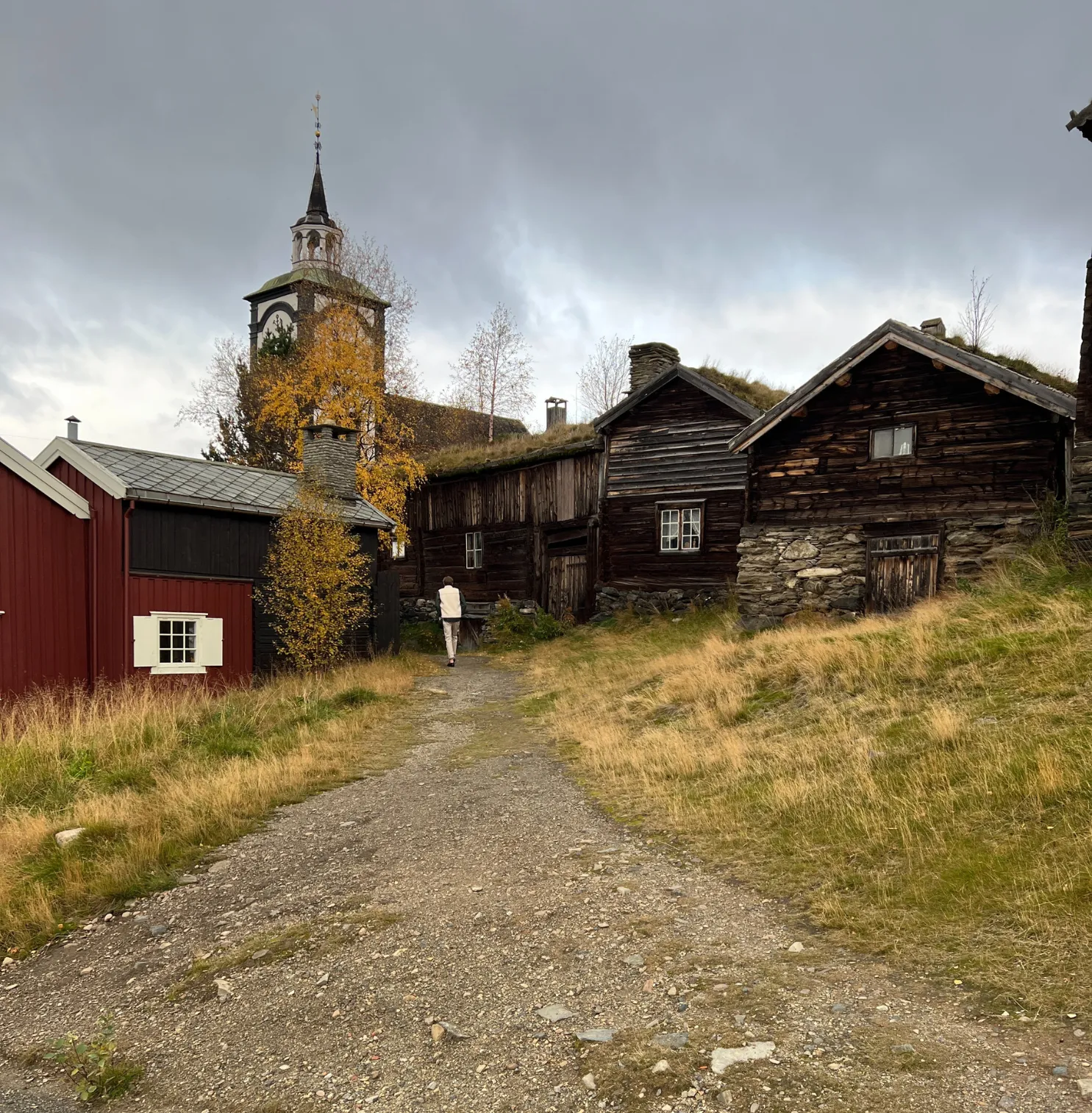 "Alfré in Røros" Limited Edition Graphic Tee (FW23)