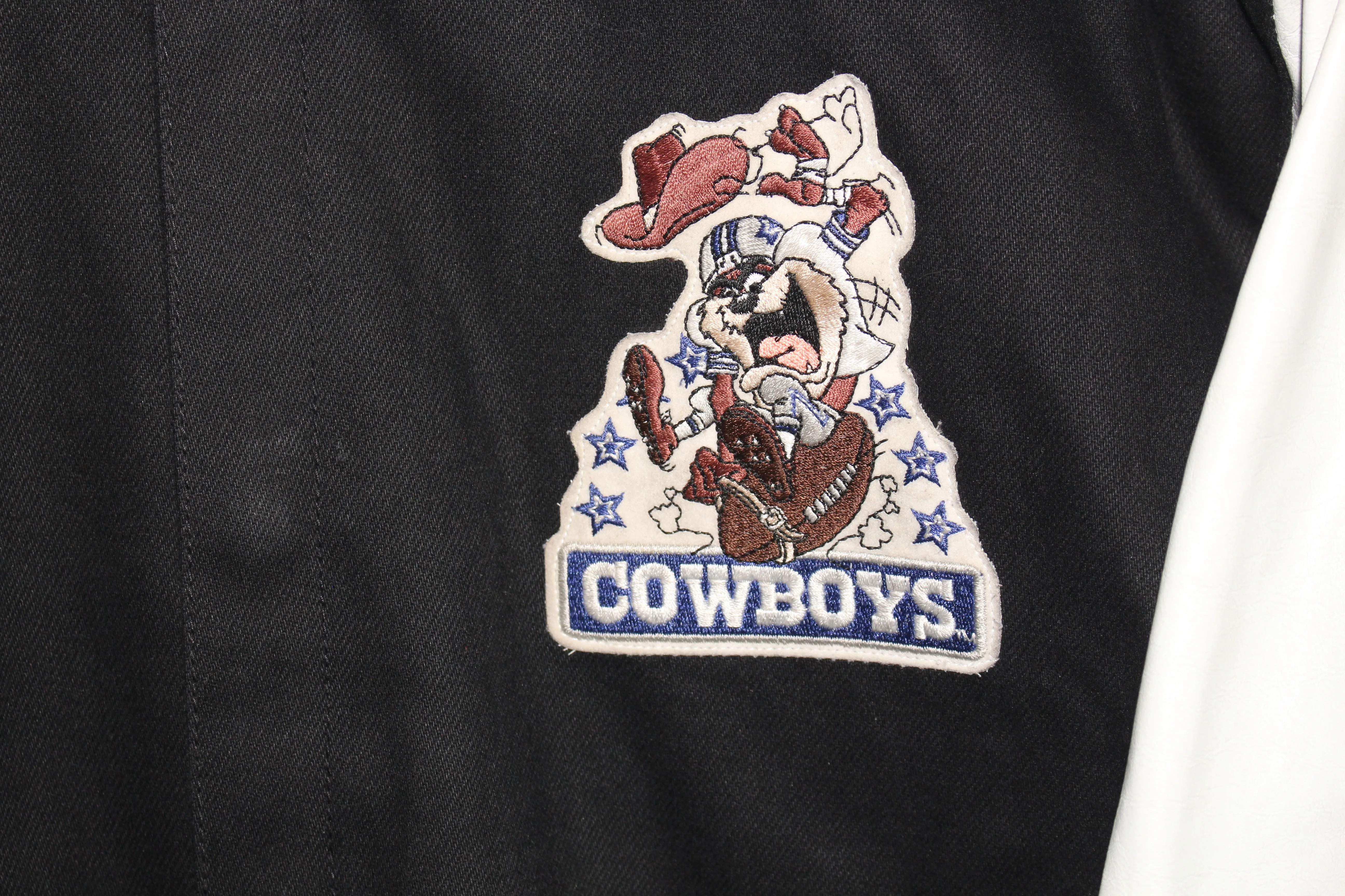 Rare Dallas Cowboys Tasmanian Devil Looney Tunes Jeff Hamilton Jacket (L)