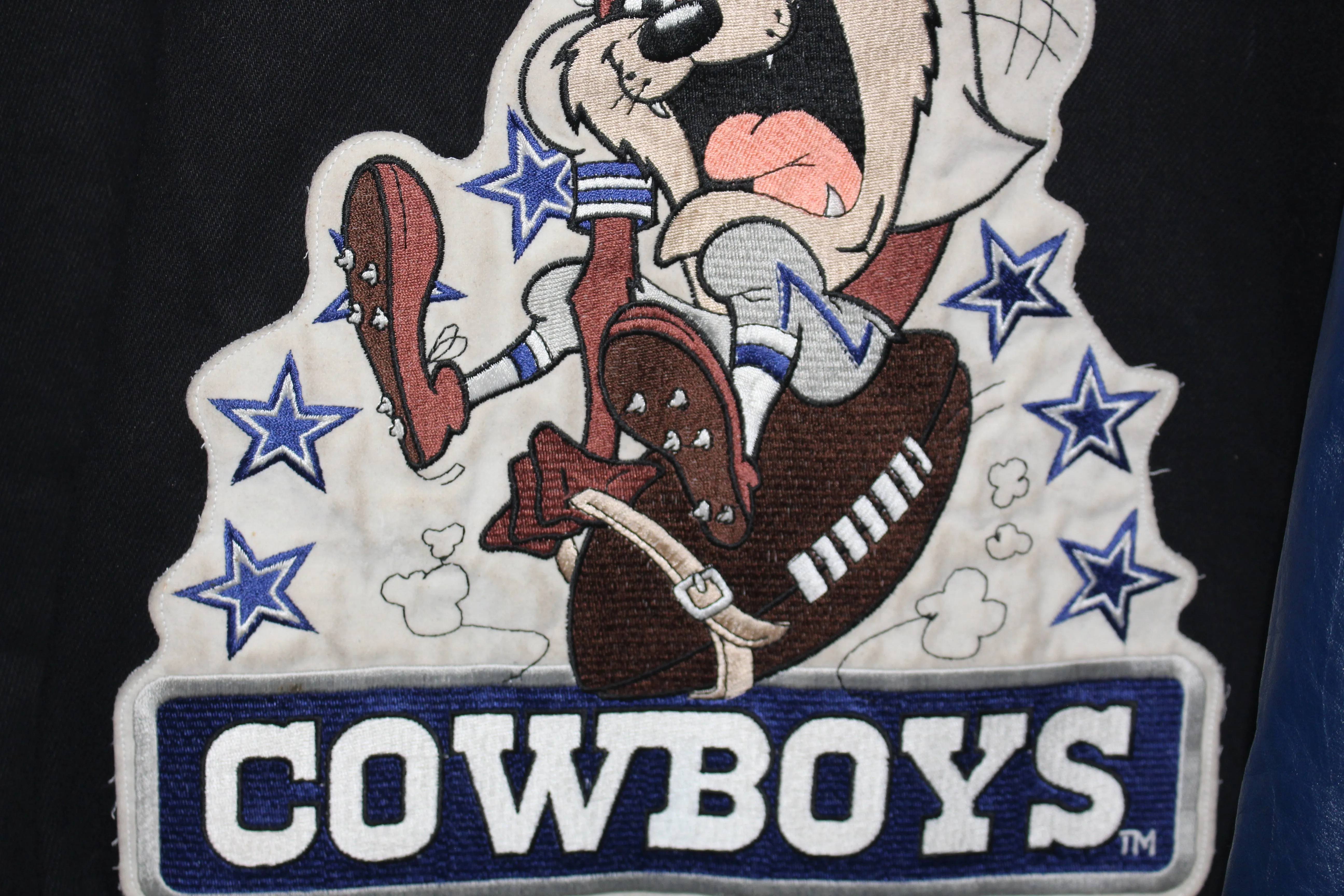 Rare Dallas Cowboys Tasmanian Devil Looney Tunes Jeff Hamilton Jacket (L)