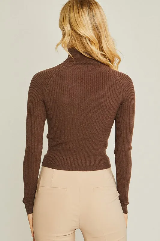 Shaye Turtleneck Ribbed Knit Sweater Top