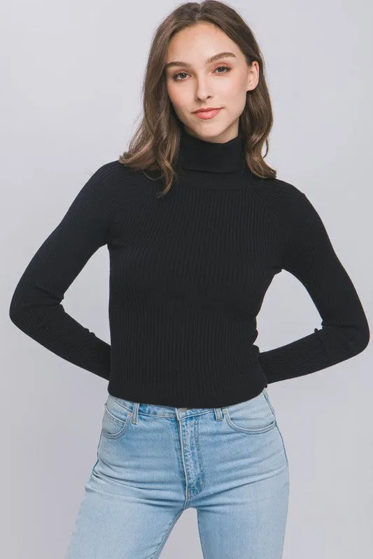 Shaye Turtleneck Ribbed Knit Sweater Top