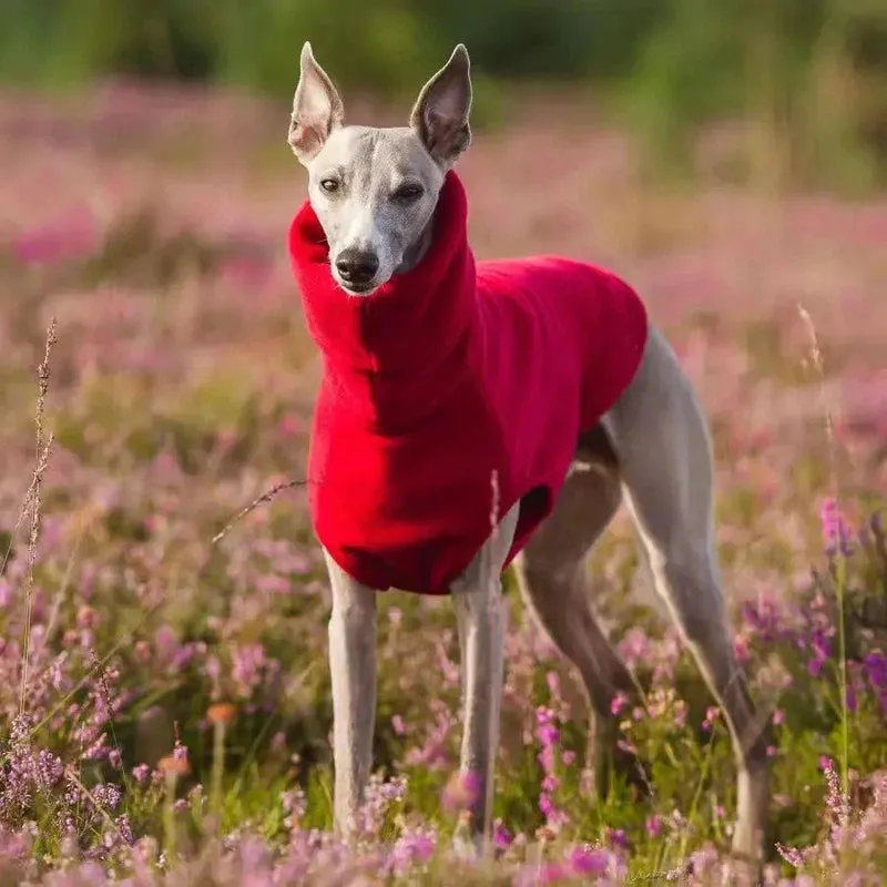 Soft Fleece Turtleneck Vest for Whippets & Italian Greyhounds