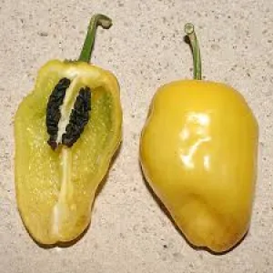 Yellow Rocoto Pepper Seeds